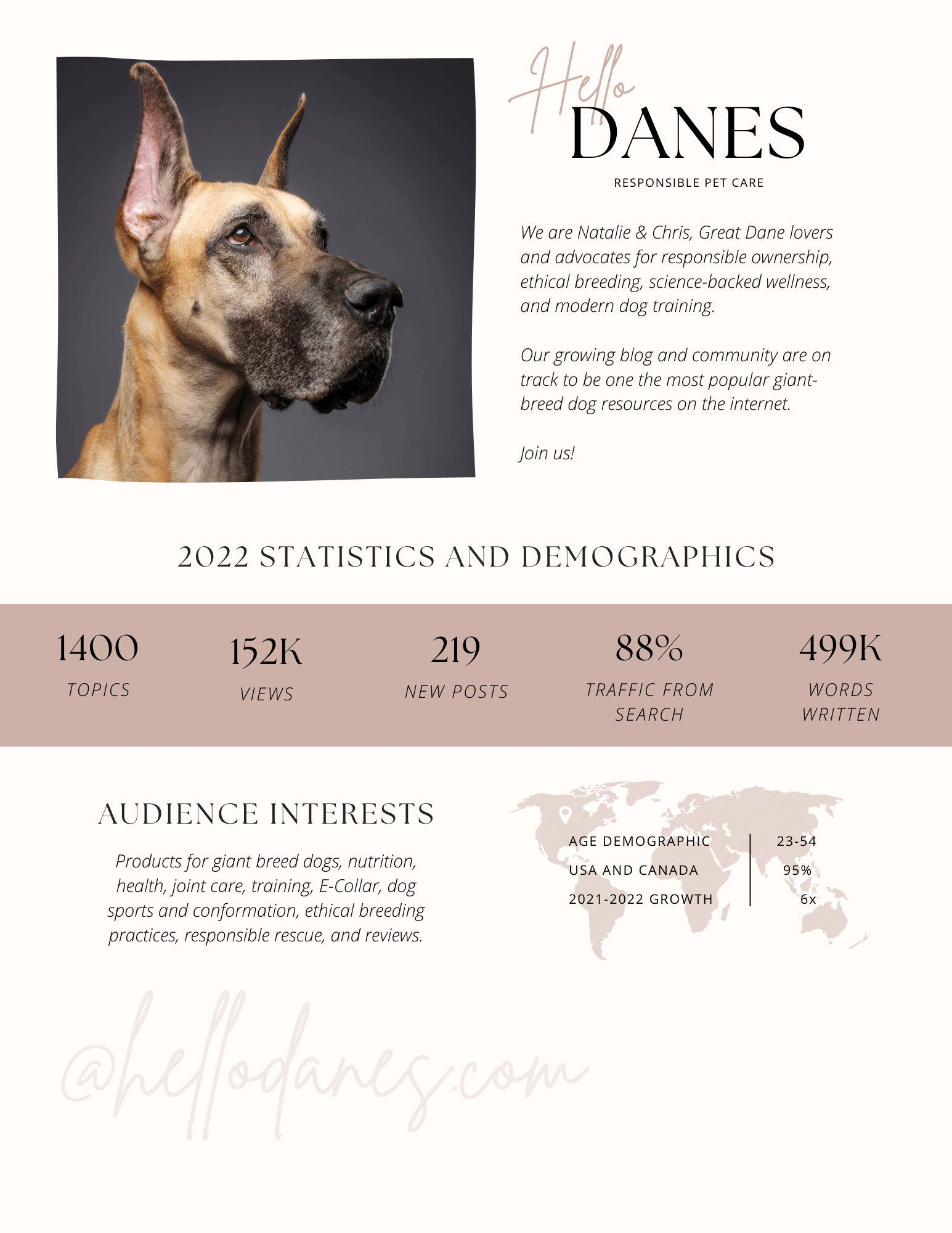 Partner with Hello Danes 1 hello danes 2022stats 1