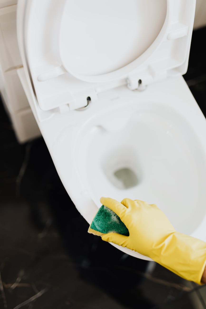Should I Let My Dog Drink From the Toilet? 5 crop person cleaning toilet rim with sponge