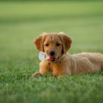 Home 43 tim umphreys M svG1XYiHs unsplash