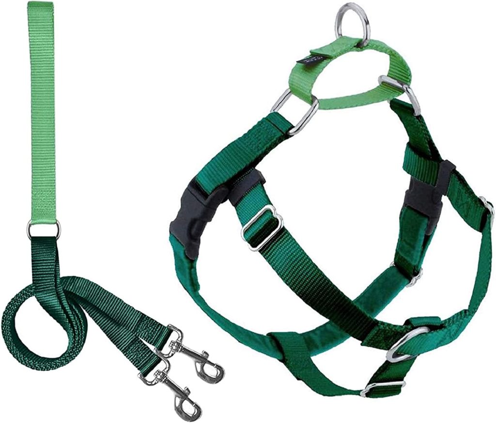 Why I Won't Use a Front-Clip Harness on a Great Dane 5 Front-Clip Harness on a Great Dane
