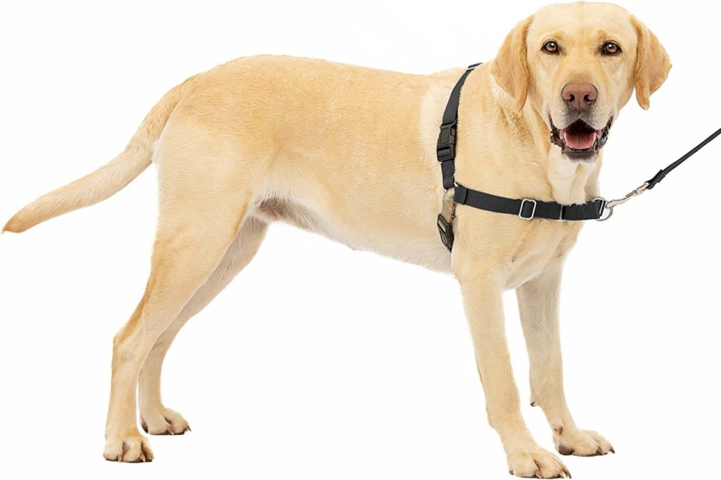 Why I Won't Use a Front-Clip Harness on a Great Dane 2 71Lgle96S0L. AC SL1500 1