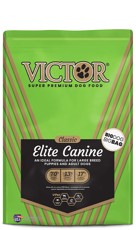 Is Victor Dog Food Good for Great Danes? 5 Victor 5lb ELITE CANINE NEW51 1