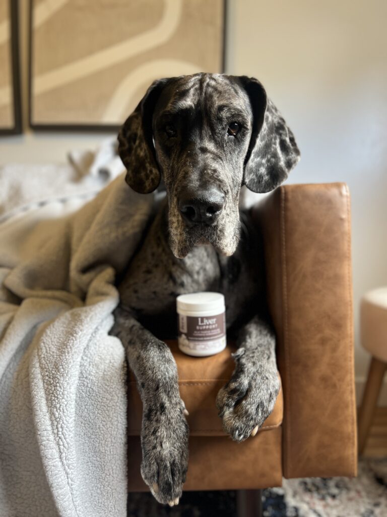 What Can You Give Your Dog to Support Their Liver? 5 Facts About Your Dogs Liver You May Be Appalled to Hear 16 What Can You Give Your Dog to Support Their Liver?