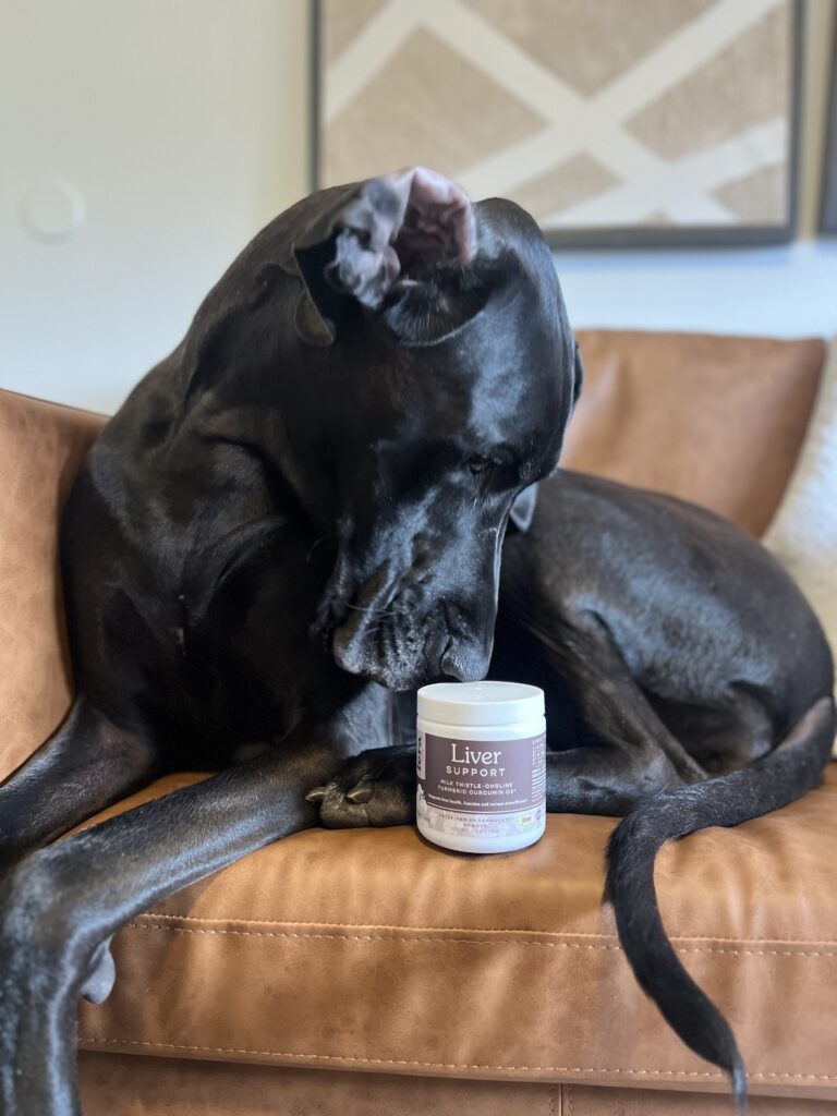 What Can You Give Your Dog to Support Their Liver? 5 Facts About Your Dogs Liver You May Be Appalled to Hear 19 What Can You Give Your Dog to Support Their Liver?