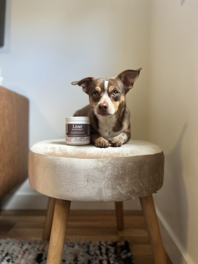 What Can You Give Your Dog to Support Their Liver? 5 Facts About Your Dogs Liver You May Be Appalled to Hear 12 What Can You Give Your Dog to Support Their Liver?