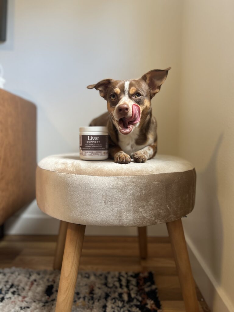 What Can You Give Your Dog to Support Their Liver? 5 Facts About Your Dogs Liver You May Be Appalled to Hear 22 What Can You Give Your Dog to Support Their Liver?