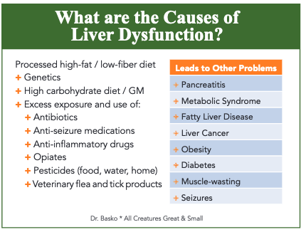 What Can You Give Your Dog to Support Their Liver? 5 Facts About Your Dogs Liver You May Be Appalled to Hear 5 Screenshot 2020 06 08 IVC V10I2 Proof pdf5