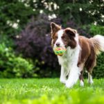 Home 26 anna dudkova urs y9NwFcc unsplash