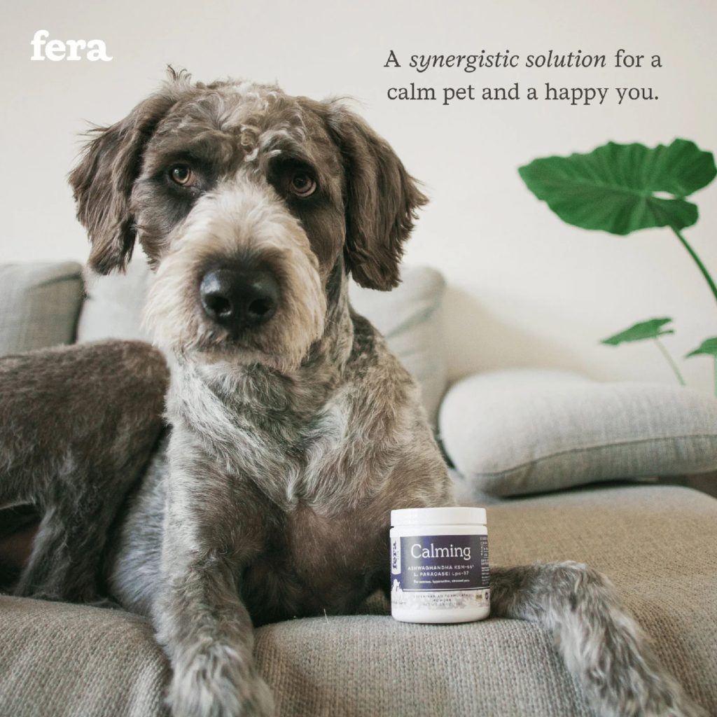 Calming Supplements for Dogs