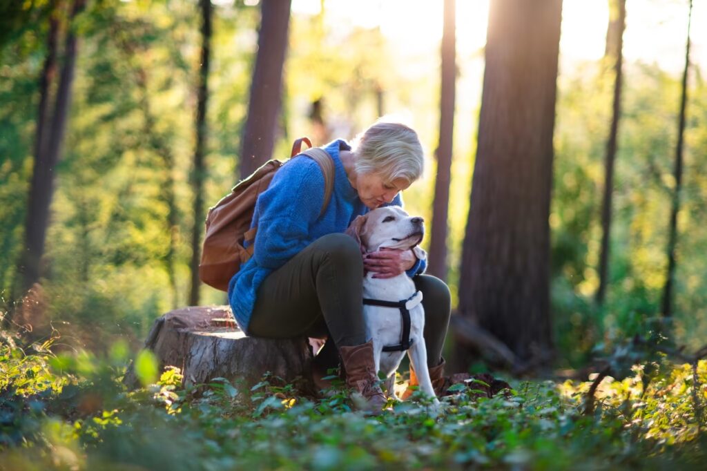 human with dog in the forest