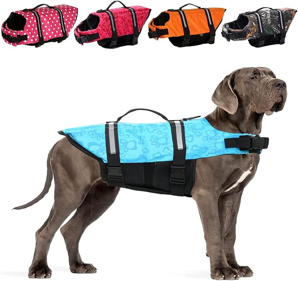 Great Dane Sized Life Jackets - Hello Danes