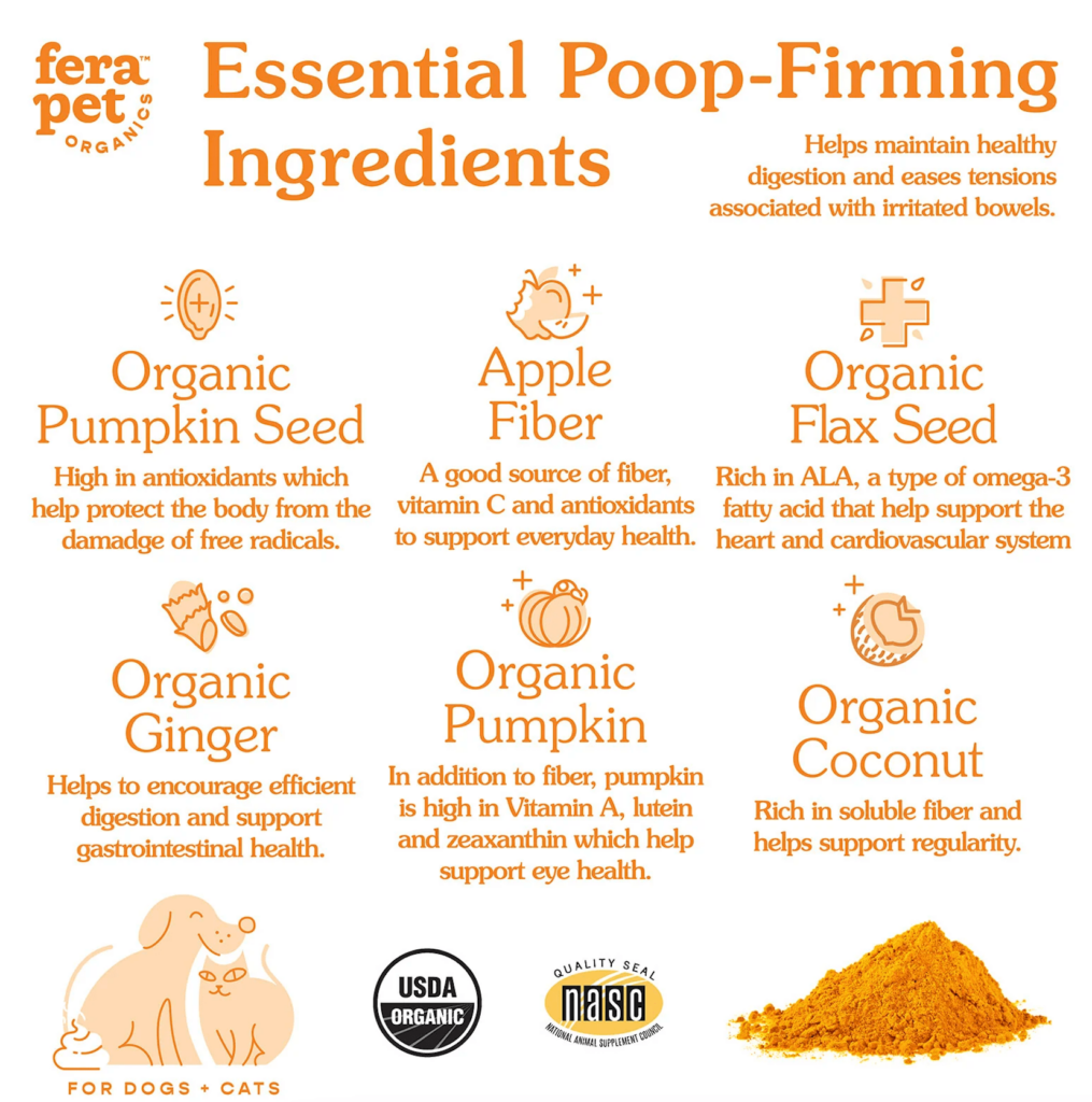 Is Pumpkin Good for Dogs 3 Health Benefits of Pumpkin for Dogs