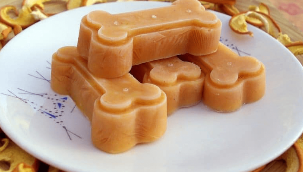 Is Pumpkin Good for Dogs 4 Health Benefits of Pumpkin for Dogs