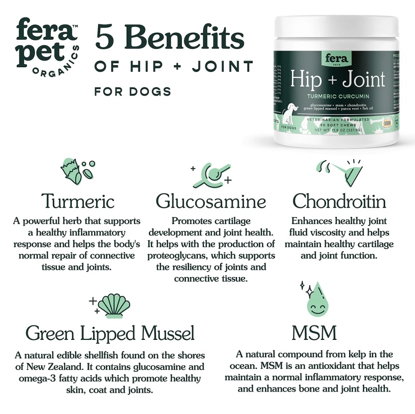 5 Ways to Boost Joint Health in Big Dogs 8 5 Ways to Boost Joint Health in Big Dogs