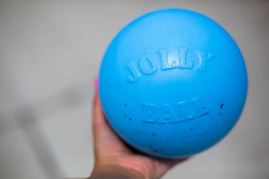 Making Shelter Dogs Happy: Jolly Pets Donates 50 Balls to Denver Animal Shelter 10 Making Shelter Dogs Happy