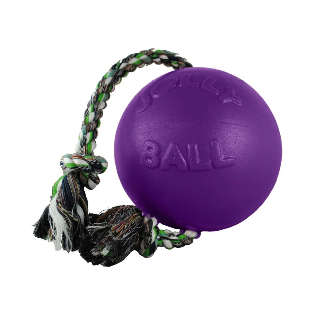 Making Shelter Dogs Happy: Jolly Pets Donates 50 Balls to Denver Animal Shelter 8 Making Shelter Dogs Happy