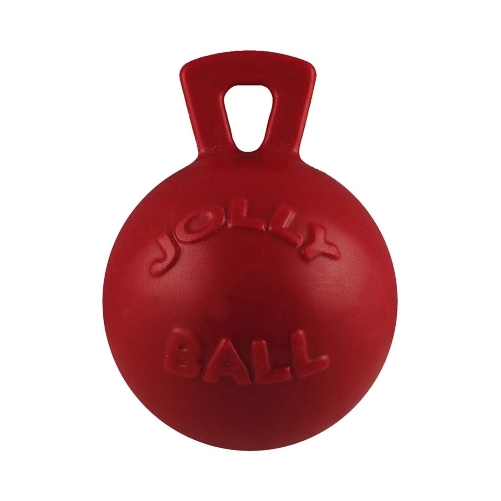 Making Shelter Dogs Happy: Jolly Pets Donates 50 Balls to Denver Animal Shelter 7 Tug n Toss Red 2000x 1