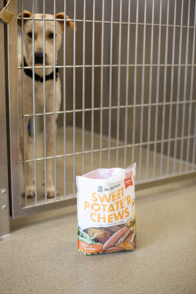 Dr. Harvey's donation to Denver Animal Shelter: Bringing Joy to the Denver Animal Shelter 17 Dr. Harvey's donation to Denver Animal Shelter