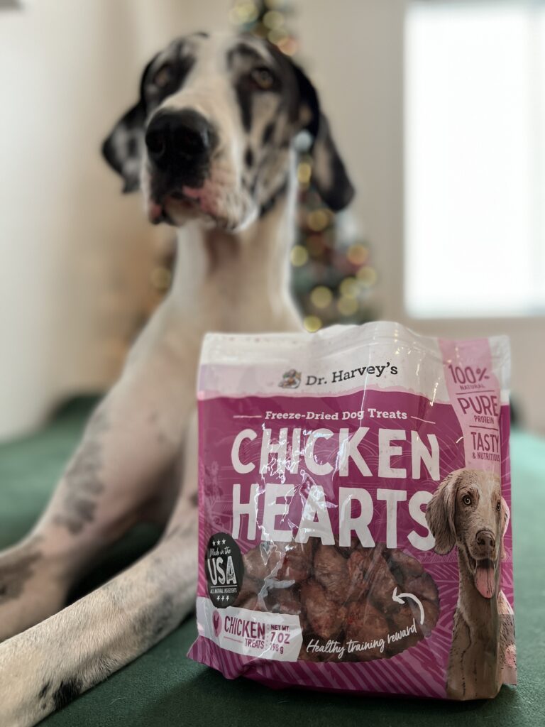 Dr. Harvey's donation to Denver Animal Shelter: Bringing Joy to the Denver Animal Shelter 11 IMG 0449