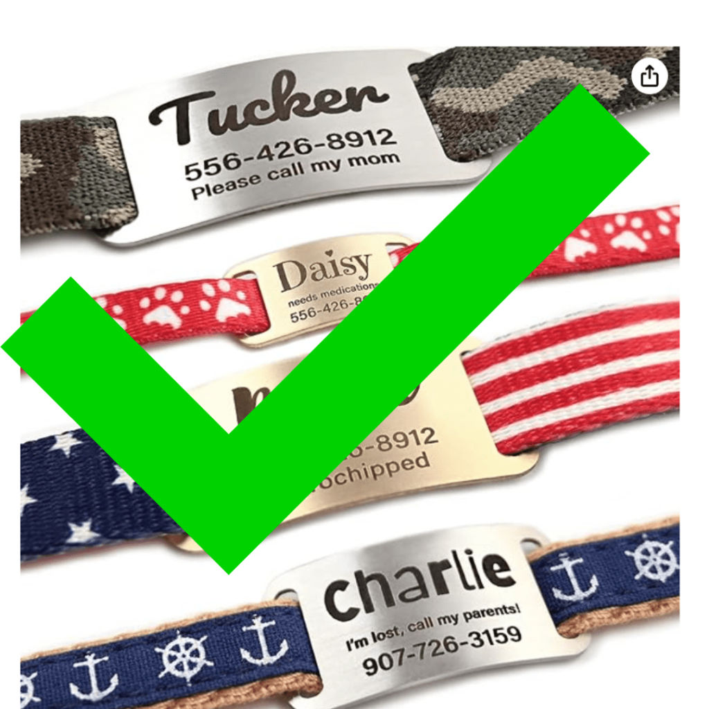 What I Put On My Dog's Collar... Safety, Identification, Training, and Location Tracking 9 What I Put On My Dog's Collar