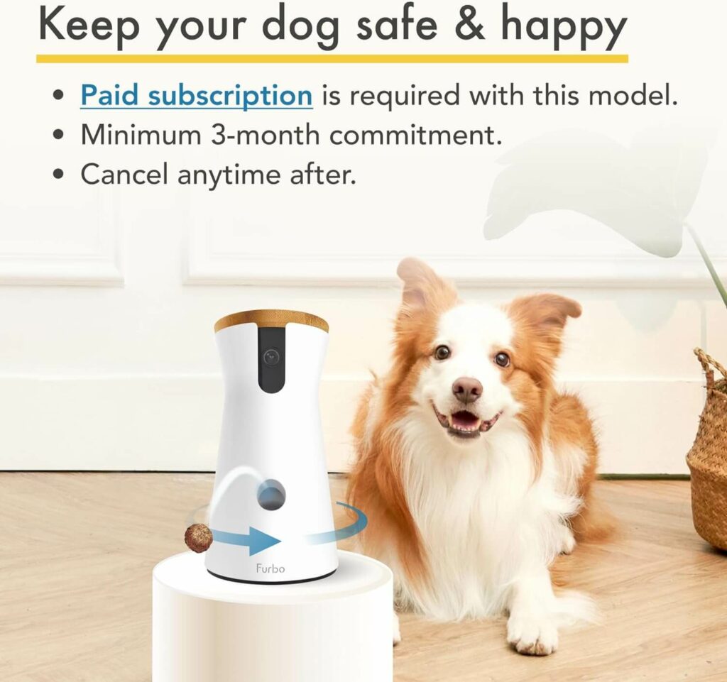 Furbo 360 Dog Camera Review 4 Furbo Review