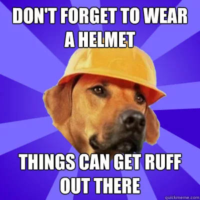 What I Put On My Dog's Collar... Safety, Identification, Training, and Location Tracking 2 What I Put On My Dog's Collar